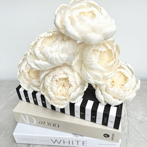 Diffuser flowers, 6 sola wood diffuser flowers for reed diffusers. Premium Peony flowers, 10-12 diameter. Bunch of 6 flowers. Cheap postage.