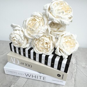 Diffuser flowers, 6 sola wood diffuser flowers for reed diffusers. Eden Rose flower, 10-12cm diameter. Bunch of 6 flowers. Cheap postage.