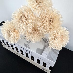 May include: A collection of cream-coloured, spherical decorative flowers with a textured, fringed appearance. The flowers are arranged on a stack of white books with black lettering, creating a minimalist aesthetic. The books are on a black surface.