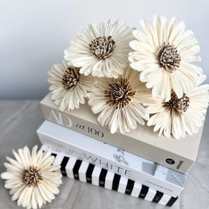 Daisy Diffuser flowers, 6 sola wood diffuser flowers for reed diffusers. Premium Daisy diffuser flowers, 10cm wide. Bunch of 6 flowers.