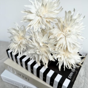 Diffuser flowers, 6 sola wood diffuser flowers  for diffusers. Premium dahlia naturale flowers, 10cm wide. Cheap postage. Birthday gift.