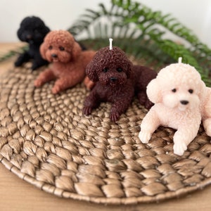 May include: Four poodle-shaped candles, one black, one brown, one light brown, and one white, are arranged on a woven straw mat. The candles are all lying down with their heads facing the camera.