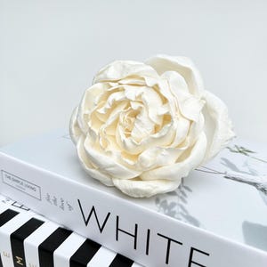 Diffuser flower, sola wood diffuser flower for reed diffusers. Natural cream  Eden Rose flower, 10-12 cm diameter available. Flower only.
