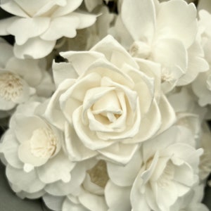 May include: A bouquet of white sola wood flowers. The flowers are arranged in a cluster and have a delicate, papery texture.