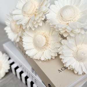 May include: Ivory-coloured wooden flowers, handmade, arranged on a stack of books. The flowers have layered petals and a textured centre. The books have neutral covers, with one featuring the word "WHITE" and another "A CE".