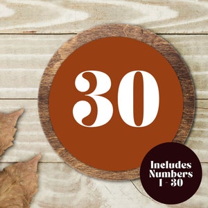 Orange Wedding Table Numbers 1-30: Minimalist DIY (Digital Download)