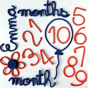 Baby Milestone signs, Baby Photo Shoot, Birthday Milestone Gift, Customized Baby month milestones, 12 month baby journey