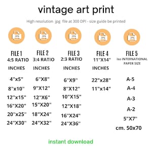 Op de afbeelding: Een digitale kunstafdruk-maattabel met verschillende beeldverhoudingen en maten in cm en inches. Bevat opties zoals 10x13 cm, 20x25 cm en 30x38 cm, evenals internationale papierformaten. De tekst "instant download" is ook aanwezig.