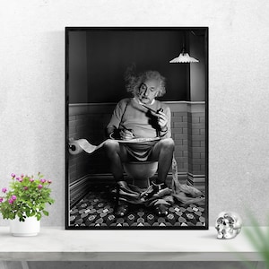 May include: Black and white photo of Albert Einstein sitting on a toilet, smoking a pipe and writing on a roll of toilet paper. The photo is framed in a black frame.