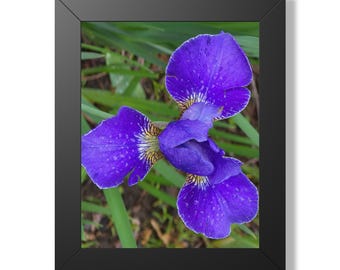 Purple Iris Flower Framed Vertical Poster | Botanical Wall Art | Mother's Day Gift