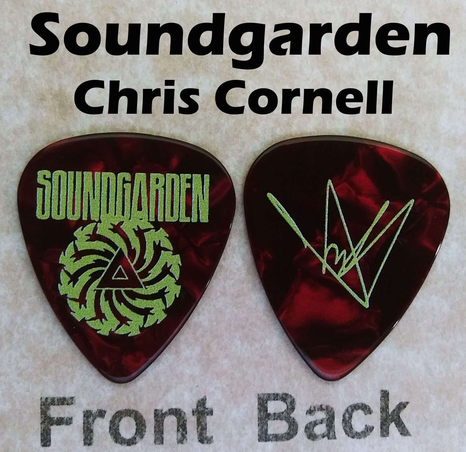 Chris cornell cheap guitar pick