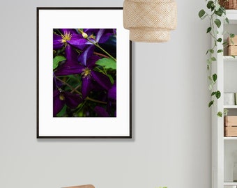 Purple Clematis Digital Downloadable Print