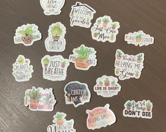 House Plant stickers, Succulent stickers, Laptop Decals, Plant Mom Gift, Gardening Gift, Cute Succulent Stickers, Gift for Her, Water Bottle