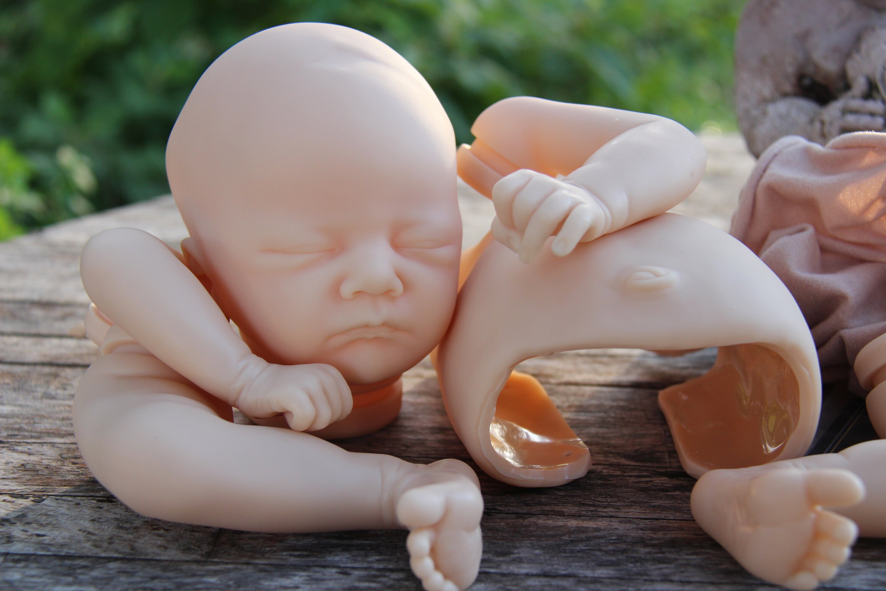 Charlotte di Laura Lee Eagles 18