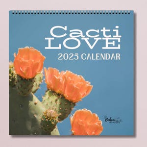 Calendario fotografico di cactus 2025-2026, calendari per gli amanti dei cactus, decorazioni da parete per ufficio con piante del deserto del sud-ovest moderne e colorate, decorazioni artistiche per ufficio e dormitorio con cactus