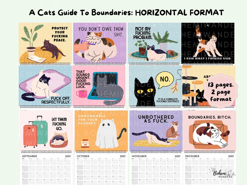 Preview of all 12 months in the A Cats Guide to Boundaries wall calendar showing funny cat illustrations, sarcastic quotes, and monthly designs in a horizontal calendar format.