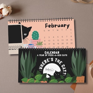 2026 2027 Black Cats Desk Calendar – Funny Peek-a-Boo Black Cat Academic Calendar - Planner for Black Cat Lover