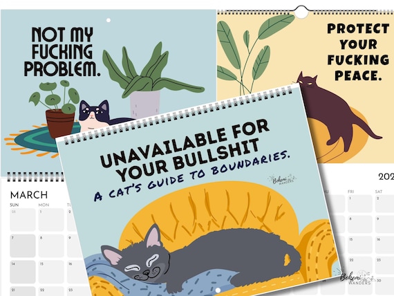 Funny Cat Calendar 2027, People Pleaser Gift, Unavailable for Your Bullshit Cat Boundaries Sweary Calendar, Cat Mom Cat Dad Gift