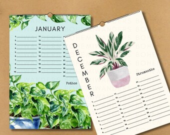 May include: Two wall calendars featuring botanical illustrations. One shows January with a Pothos plant design, the other December with a Stromanthe plant design. Both calendars have lined spaces for daily notes. Measurements are in cm.