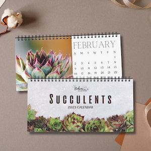 2025–2026 Sukkulenten & Kaktus Tischkalender – Wüstenpflanzen Fotografie, Botanische Bürodeko, Geschenk für Pflanzenliebhaber, Akademischer Bürokalender