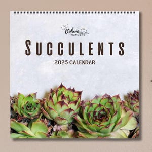 Calendario 2025-2026 di piante succulente e cactus – Fotografia botanica, calendario da parete con piante del deserto, regalo per gli amanti delle piante, decorazione per ufficio o dormitorio