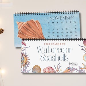 2025–2026 Watercolor Seashells Calendar – Beachy Coastal Desk Decor, Nautical Office Gift for Her, Cute Ocean Desk Art, Academic Calendar