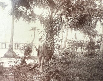 Antique cabinet card photograph of a man exploring a tropical setting