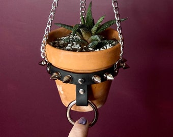 Super Cute SMALL Plant Hanger, Spiked Vegan Leather and Chain with O-Ring and Adjustable Buckle, HANGER ONLY, Perfect for Succulents/Cacti