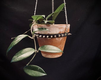 LARGE Plant Hanger, Spikes, Vegan Leather, and Chains with Adjustable Buckle, fits 6 inch Pots, Perfect for Hoya or Succulent, HANGER ONLY