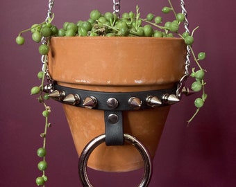 MEDIUM Plant Hanger, Spiked Vegan Leather and Chain with O-Ring and Adjustable Buckle, fits 4 inch diameter pots, HANGER ONLY
