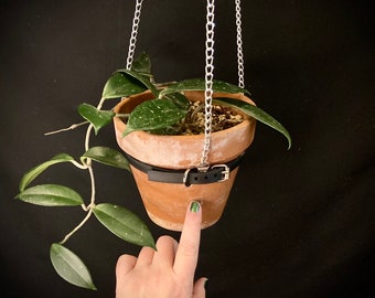 LARGE Plant Hanger, 6 inch Terra Cotta POT INCLUDED, Vegan Leather and Silver Chain with Buckle, Perfect for Succulents and Epiphytes