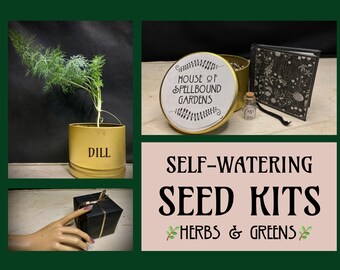 FERNLEAF DILL Herb Kit-A Lovely Gift-Comes with Self-Watering Planter, Seeds, and Handbound Book of Instructions-Plastic-Free and Reusable