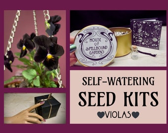 Viola Flower Kit-Cute Gift-Comes with Self-Watering Planter, Seeds, and Handbound Book of Instructions-Sustainable, Reusable & Plastic-Free