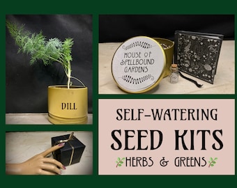 Indoor HERB Kit-Cute Gift-Comes with Self-Watering Planter, Seeds, and Handbound Book of Instructions-Sustainable, Reusable & Plastic-Free