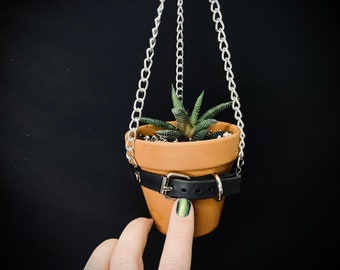 SMALL Plant Hanger for Succulents and Cacti, Holds 3 inch Terra Cotta Pot, SUPER CUTE Vegan Leather and Silver Chain with Buckle