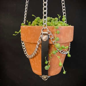 May include: A terracotta pot with a green plant hanging from a silver chain and black leather strap.