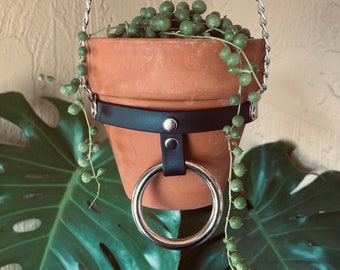 MEDIUM Plant Hanger with O-Ring and Buckle, Vegan Leather and Silver Chain, 4 inch Regular Terra Cotta POT INCLUDED, Perfect for Succulents