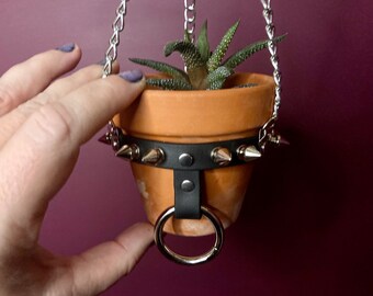 SMALL Plant Hanger, Spiked Vegan Leather and Chain with O-Ring and Adjustable Buckle, 3 inch Terracotta POT INCLUDED, Mini Succulent Planter