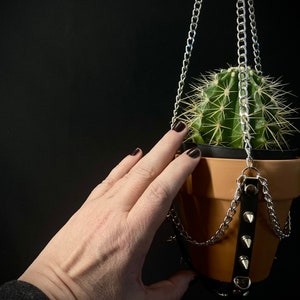 May include: A small cactus plant in a terracotta pot with a black leather strap and silver chains hanging from the ceiling.