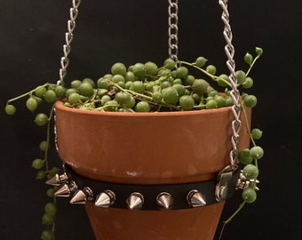 MEDIUM Spiked Vegan Leather and Chain Plant Hanger with Adjustable Buckle, 4 inch Terracotta Pot INCLUDED, Great for Cacti
