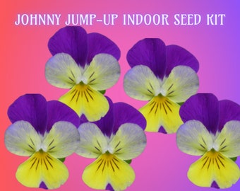 Tricolor Viola Flower Seed Kit-Cute Gift-Comes with Everything You Need-Sustainable & Plastic-Free-Edible Flowers Johnny Jump-Ups