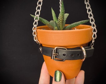 Super Cute SMALL Plant Hanger Perfect for Tiny Cacti and Succulents, 3 inch Terra Cotta Pot INCLUDED, Vegan Leather and Chain with Buckle