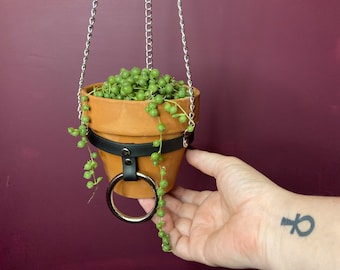 Cute MEDIUM Plant Hanger with O-Ring and Buckle, Vegan Leather and Silver Chain, Perfect for Succulent or Cacti, HANGER ONLY