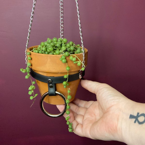 Cute MEDIUM Plant Hanger with O-Ring and Buckle, Vegan Leather and Silver Chain, Perfect for Succulent or Cacti, HANGER ONLY