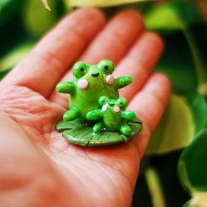 Ranas acogedoras en un escritorio de nenúfar