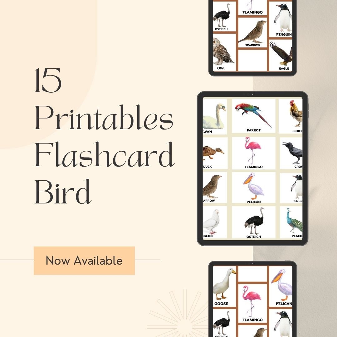 Educational Birds Flashcards for Toddlers: Printable Learning (digital ...