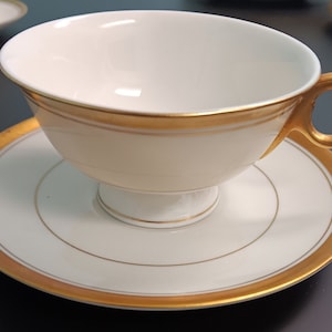 Theodore Haviland Berkeley Cup and Saucer USA