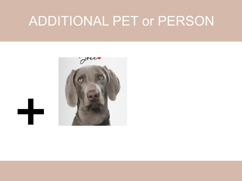 Additional Pet or Person Add On Add to Cart image 1