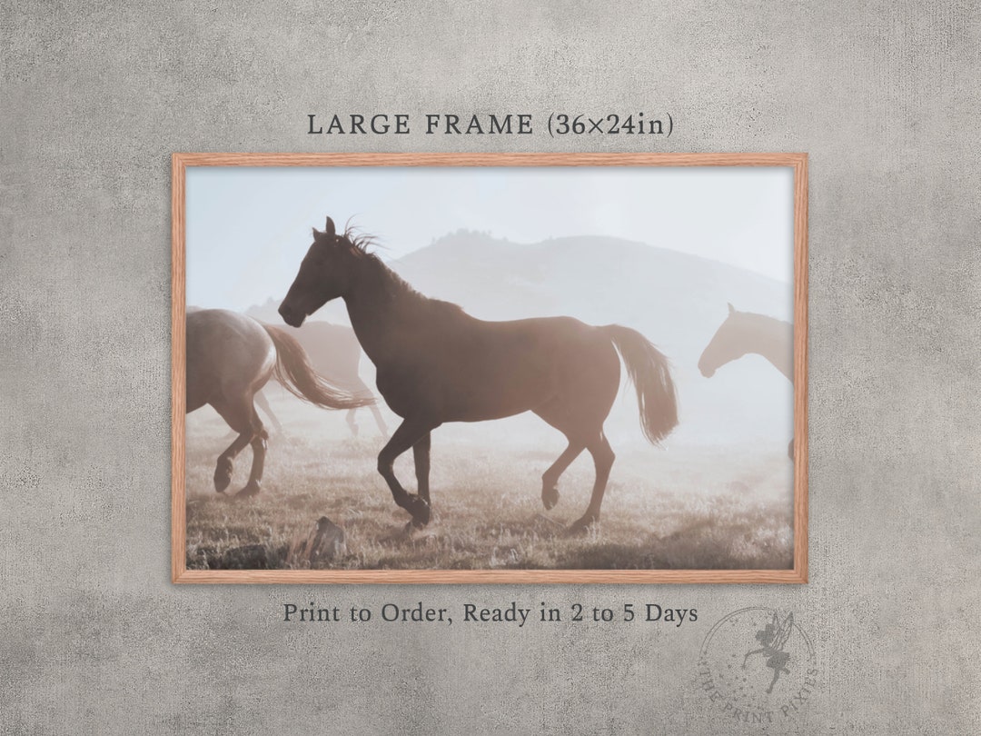 Horse Framed Pictures Large Framed Painting Art Prints for Etsy