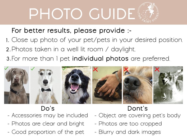 a dog's photo guide for a pet photographer